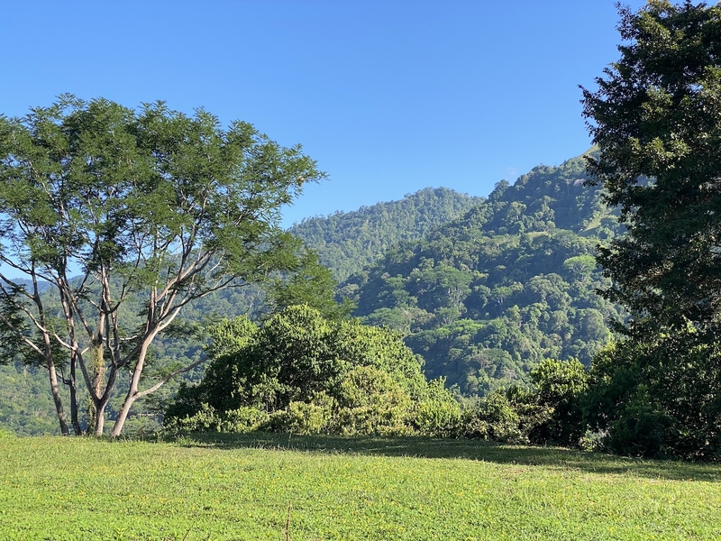 0 bed Land For Sale in Ojochal, Puntarenas - 1